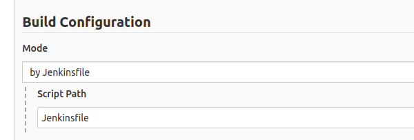 multibranch build config section