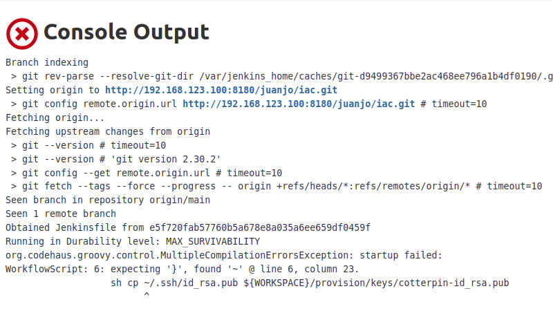 jenkins console output error