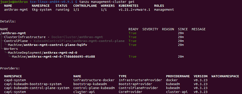 tanzu check clusters