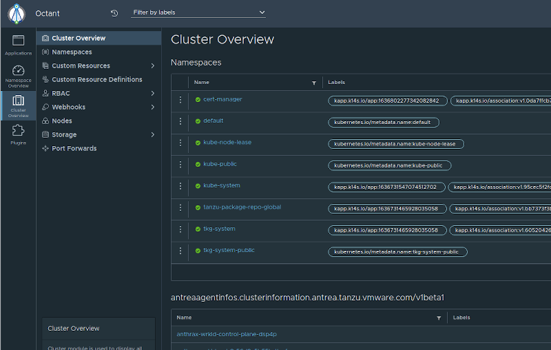 tanzu octant dashboard